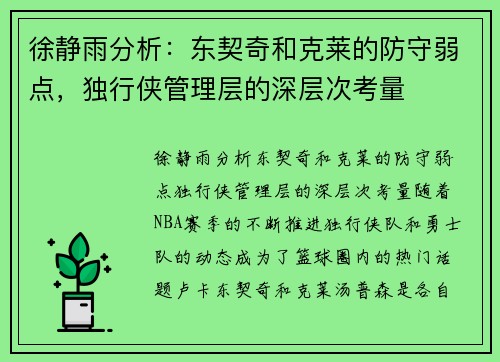 徐静雨分析：东契奇和克莱的防守弱点，独行侠管理层的深层次考量