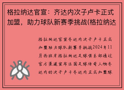 格拉纳达官宣：齐达内次子卢卡正式加盟，助力球队新赛季挑战(格拉纳达战绩)
